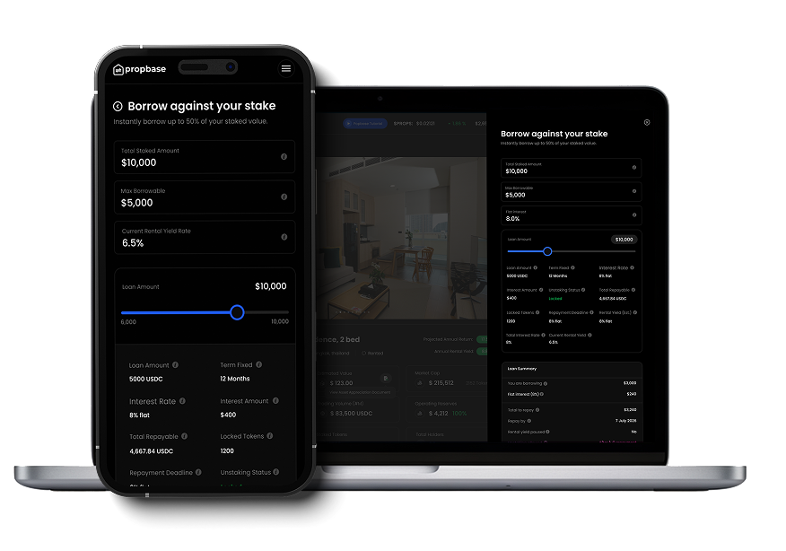 Capital Efficiency & Credit Access